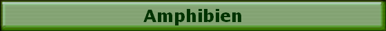 Amphibien