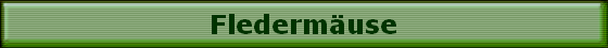 Fledermuse