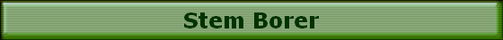 Stem Borer